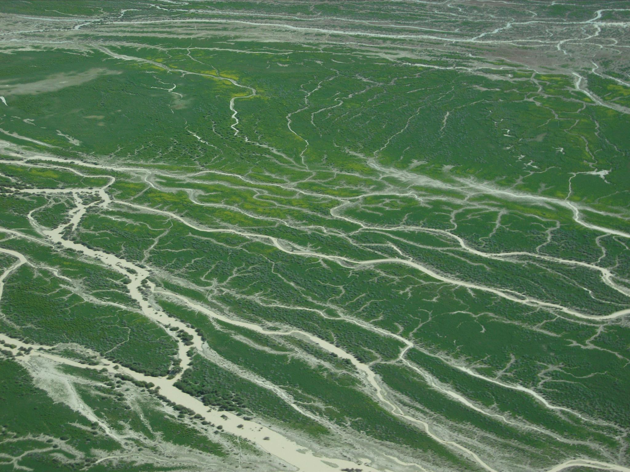 Lake Eyre Channel Country