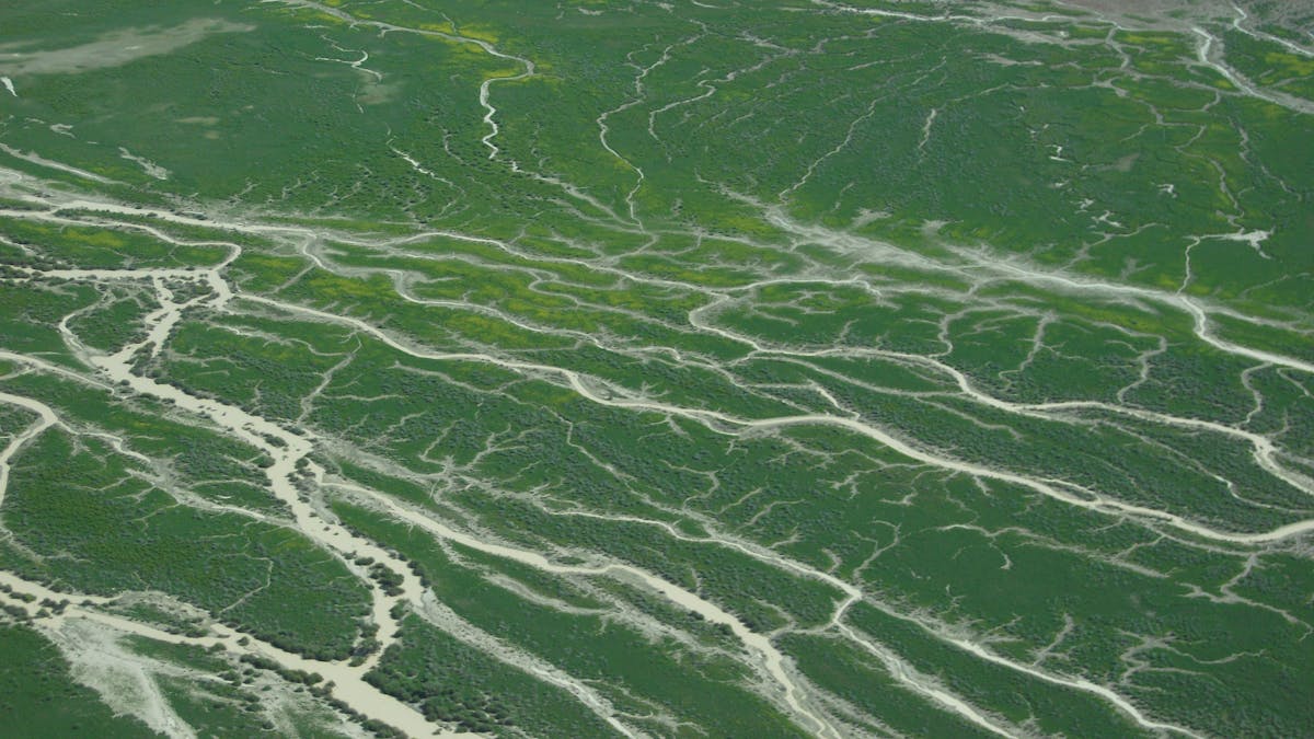 Lake Eyre Channel Country