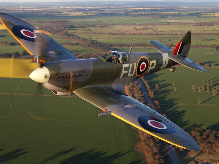 Spitfire 16