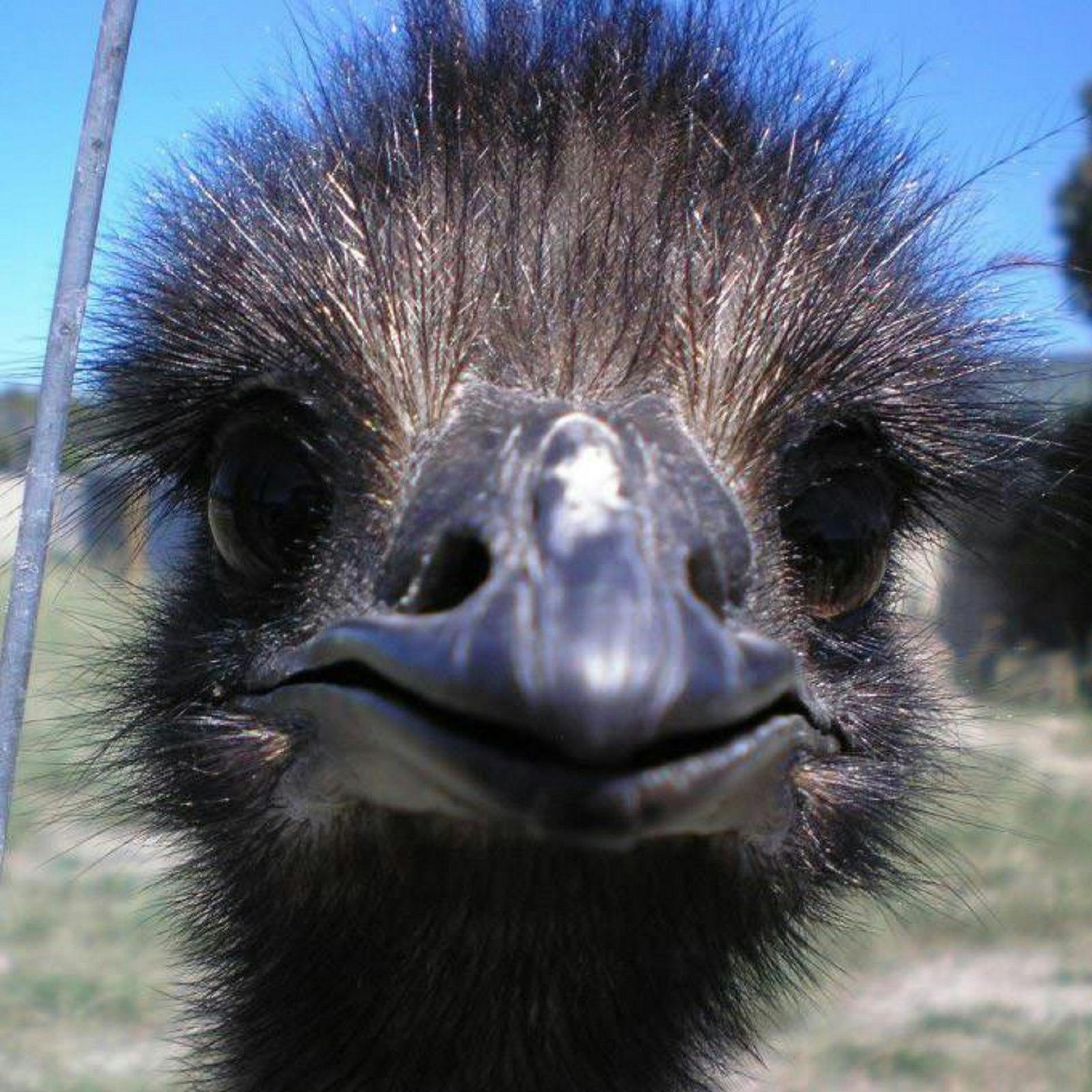 Esperance Bird and Animal Park, Gibson, Western Australia