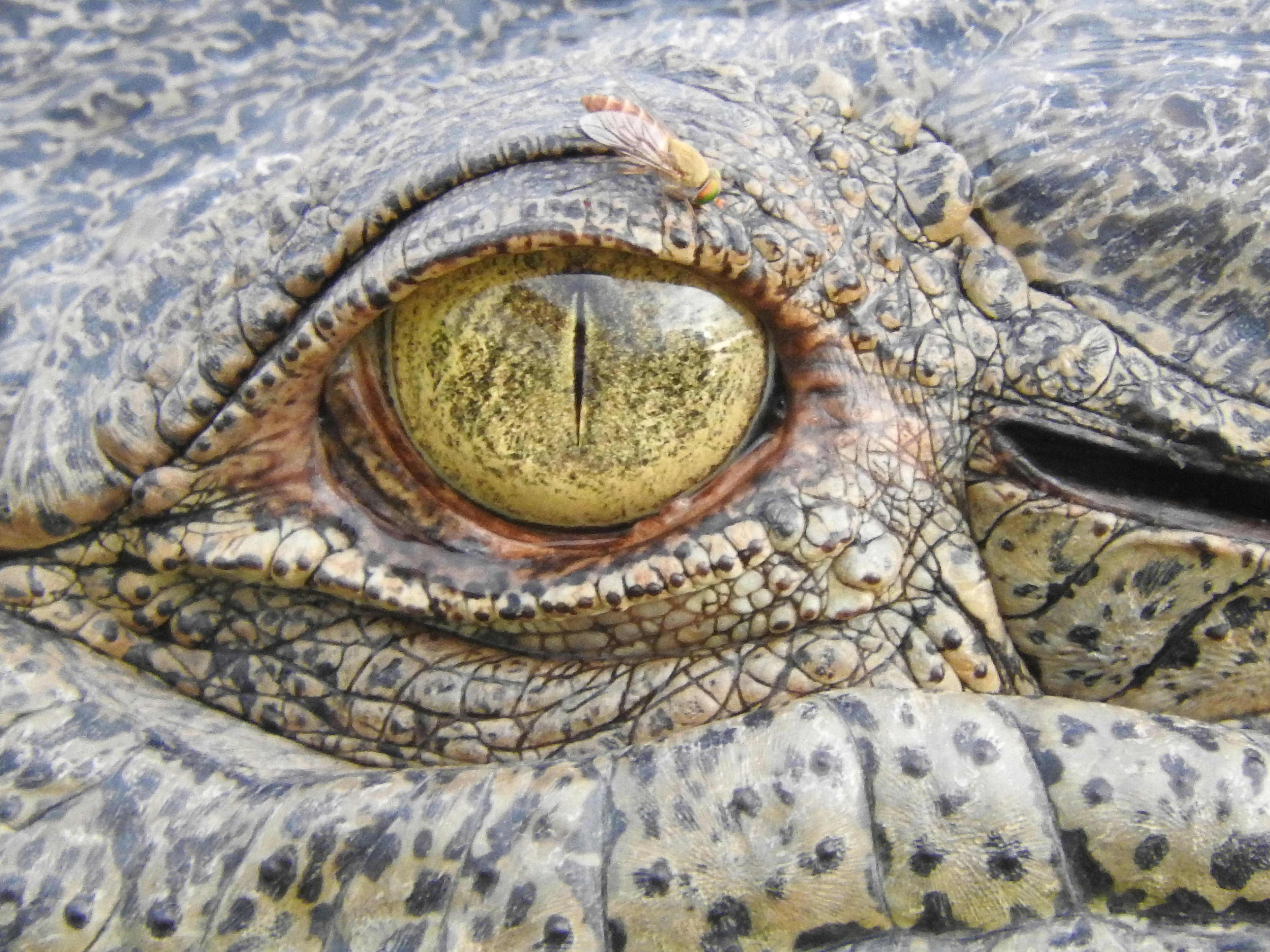 7-day Kakadu and Arnhem Land tour