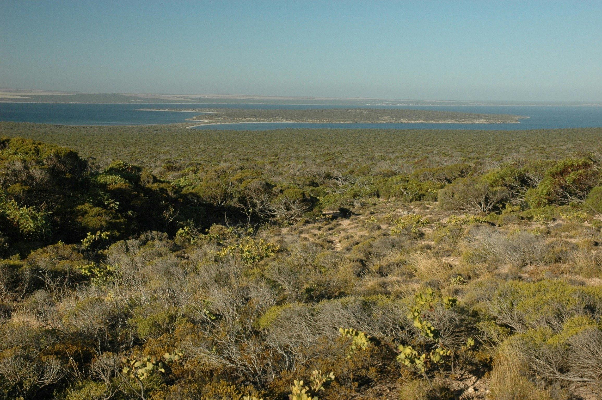 Venus Bay Conservation Park