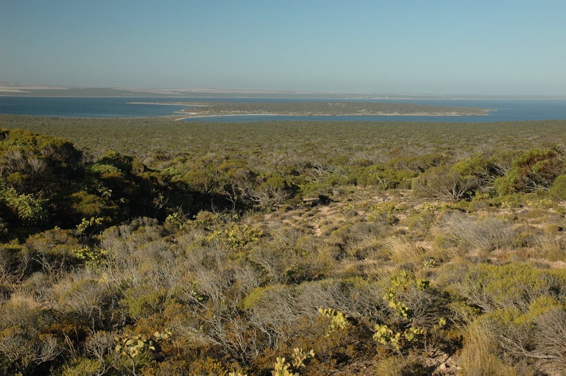 Venus Bay Conservation Park Witera, Attraction South Australia