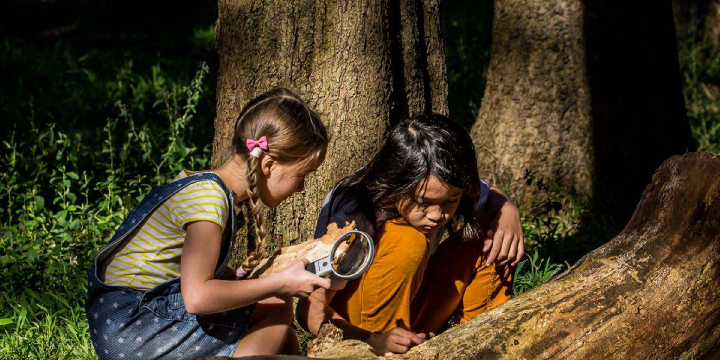 Children investigating a log with magnifying glasses