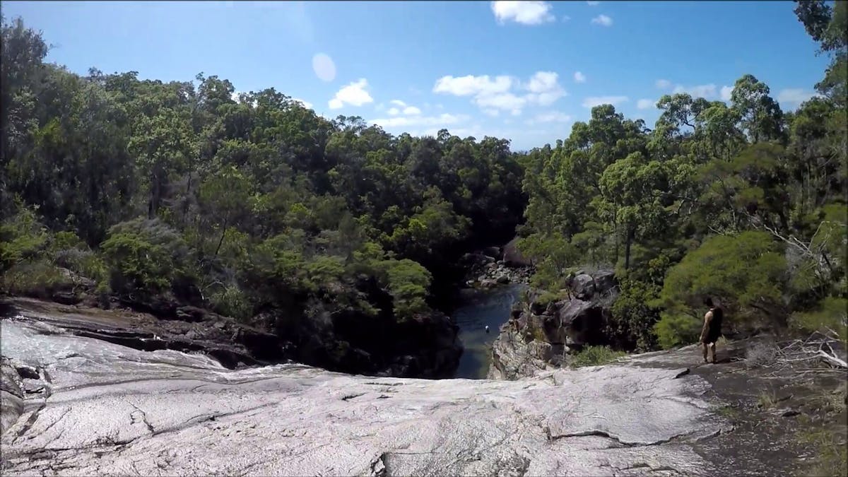 Seen along the Thorsborne Trail, Hinchinbrook Island.jpg Seen along the Thorsborne Trail, Hinchinbrook Island.jpg