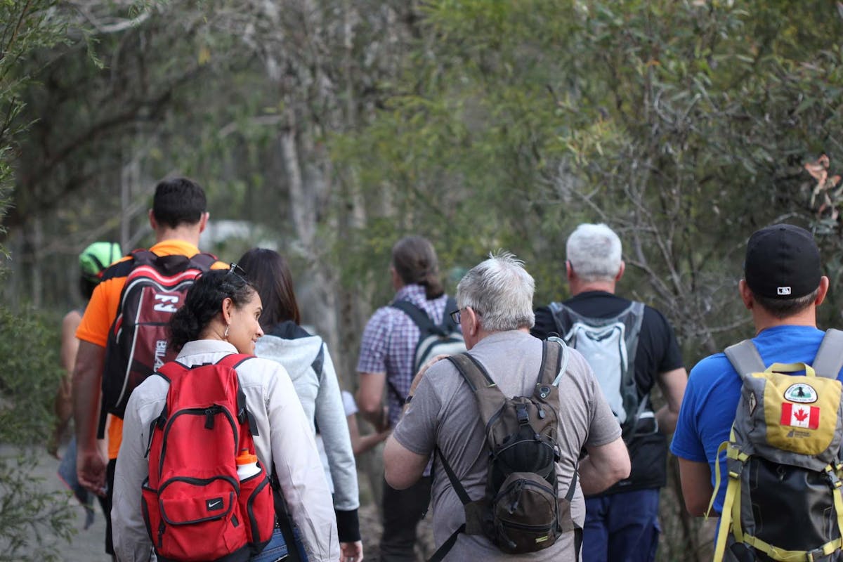 Nature Bush Walk