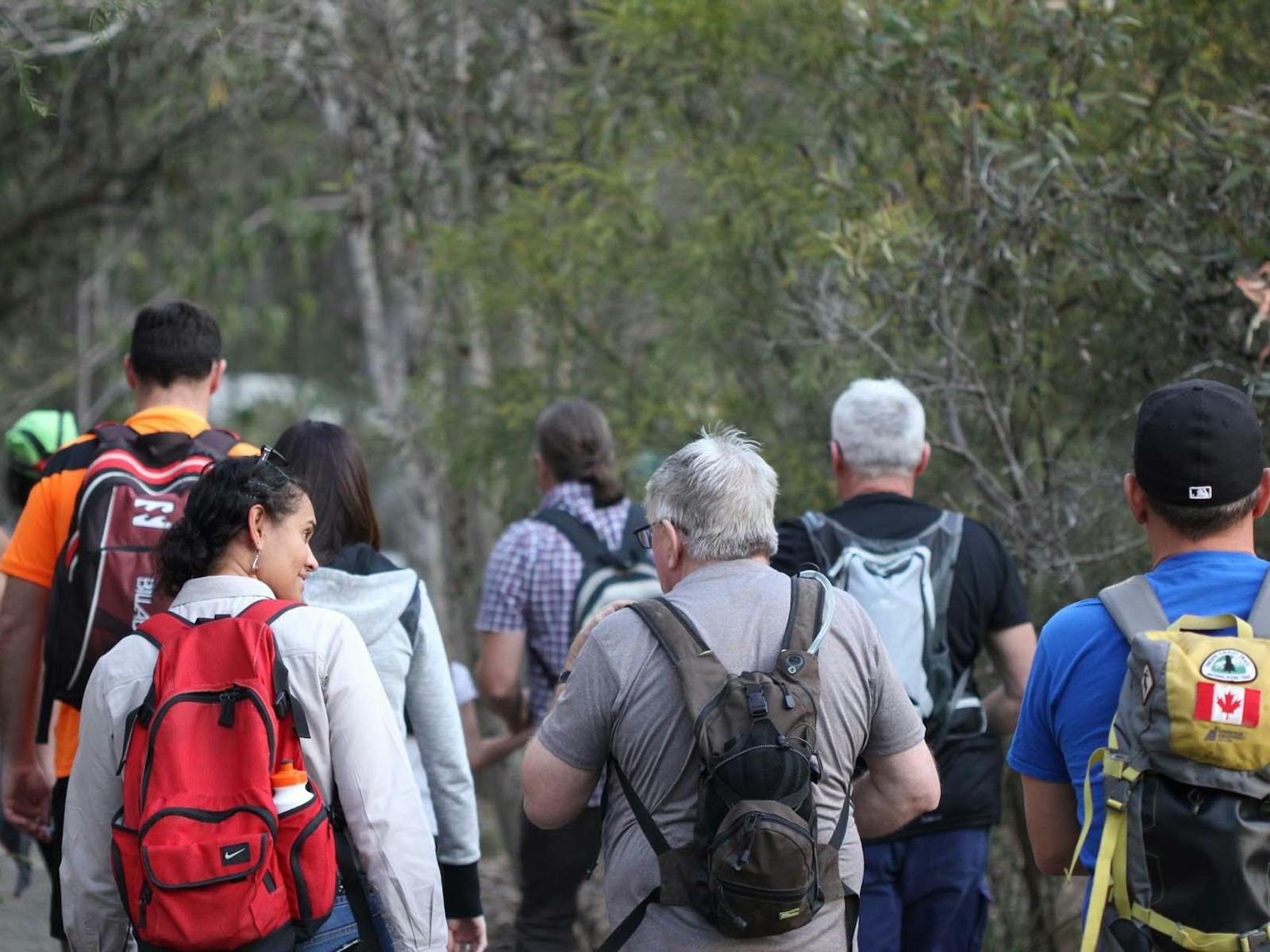 Nature Bush Walk Nature Bush Walk