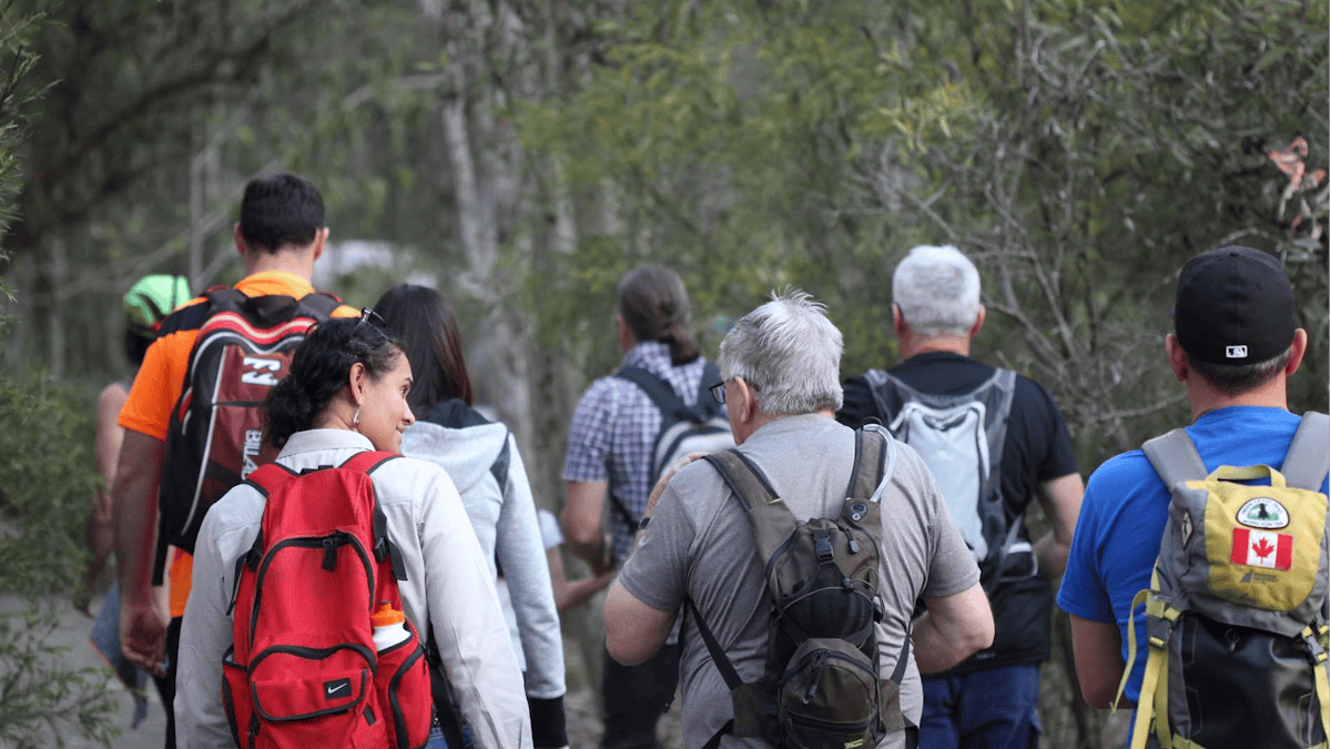 Nature Bush Walk