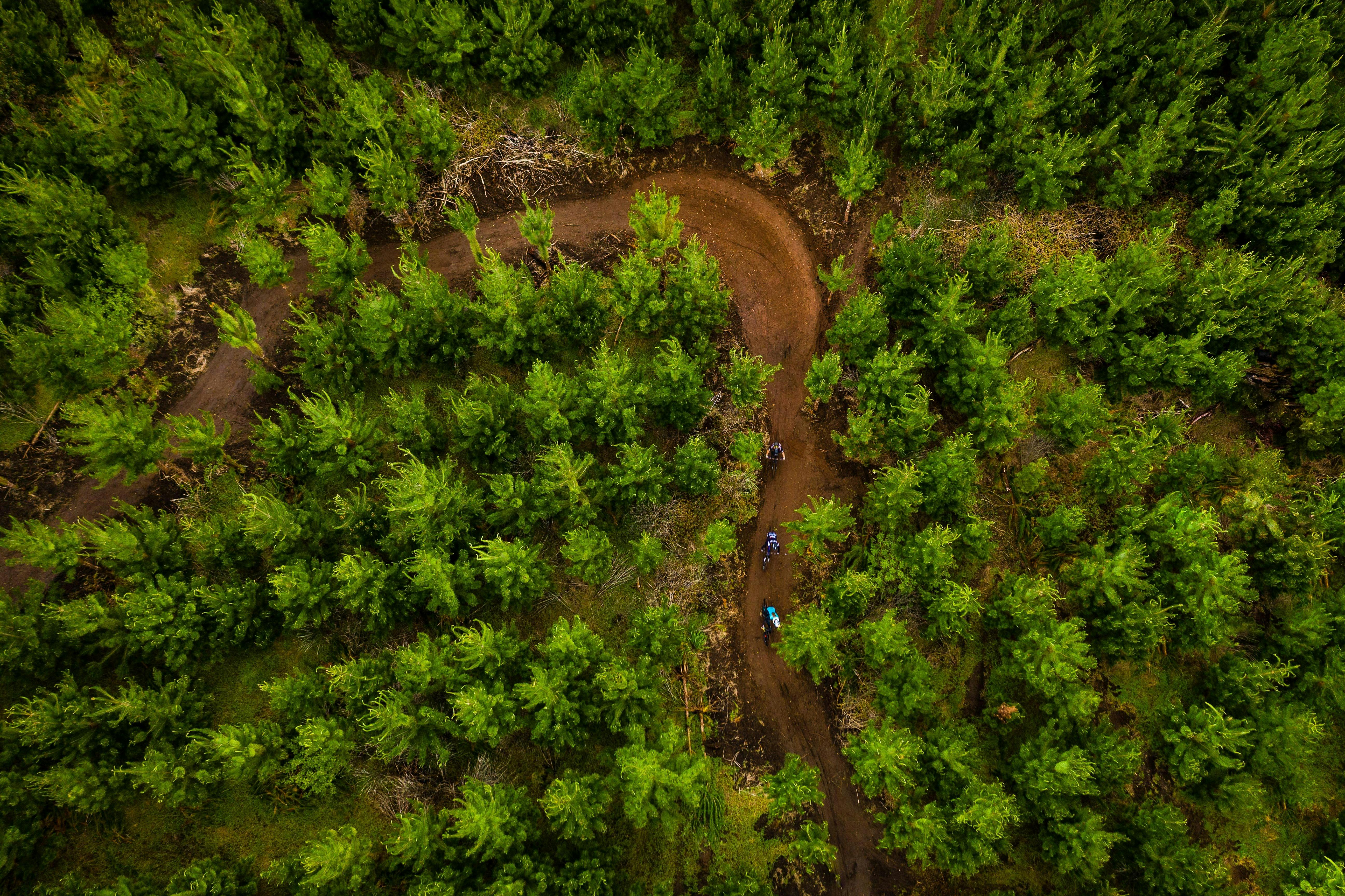 Aerial view of Outlaws
