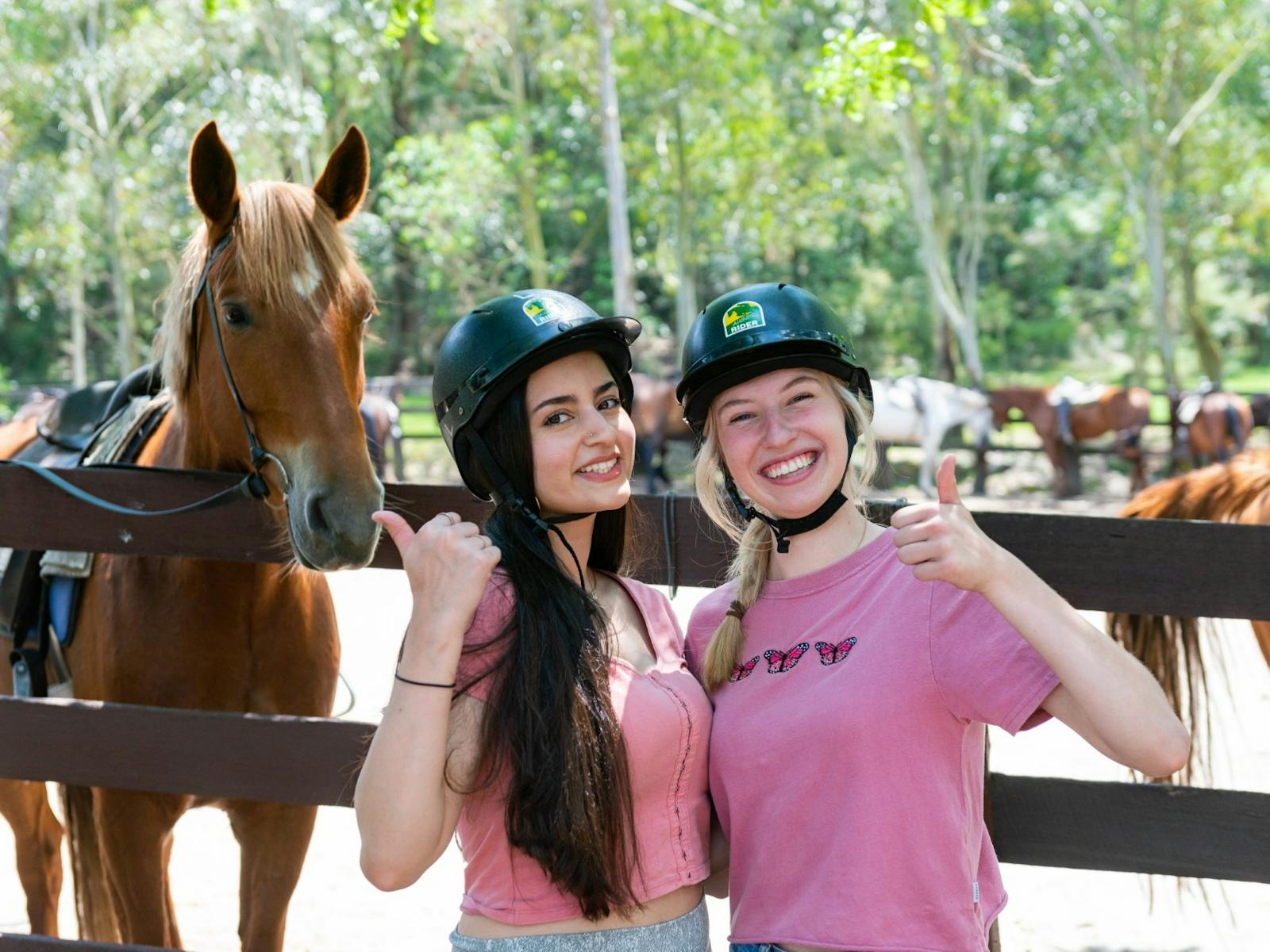 2 Ladies with a Chestnut Horse