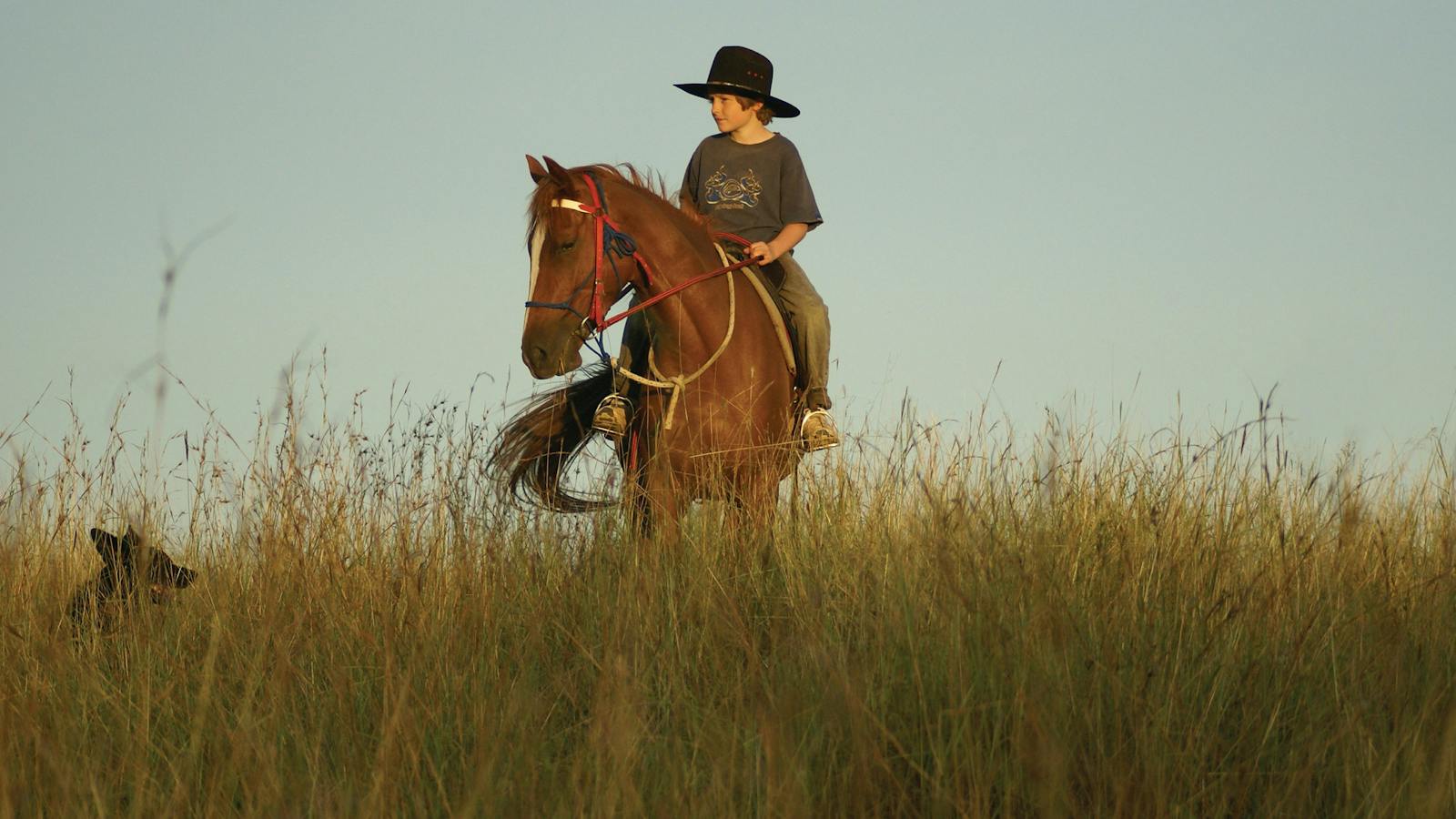 Afternoon Ride in Mitchell