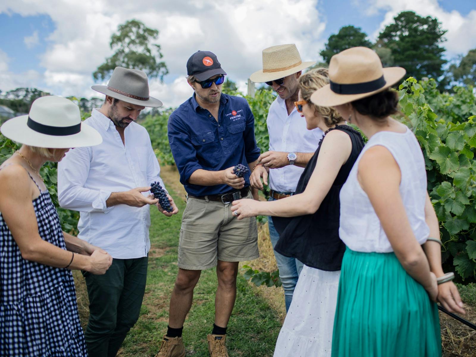 Private vineyard tour