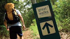 Sunshine Coast Hinterland Great! Walk
