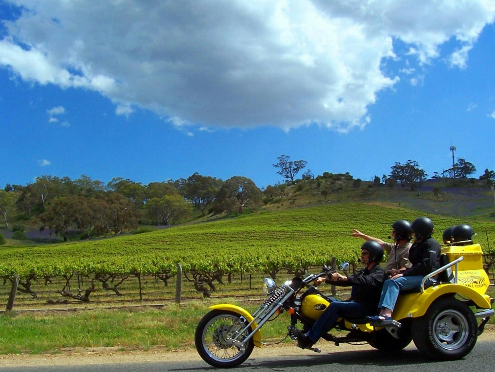 Barossa's Best Tour - Trike, Mustang or Range Rover, 6 hr