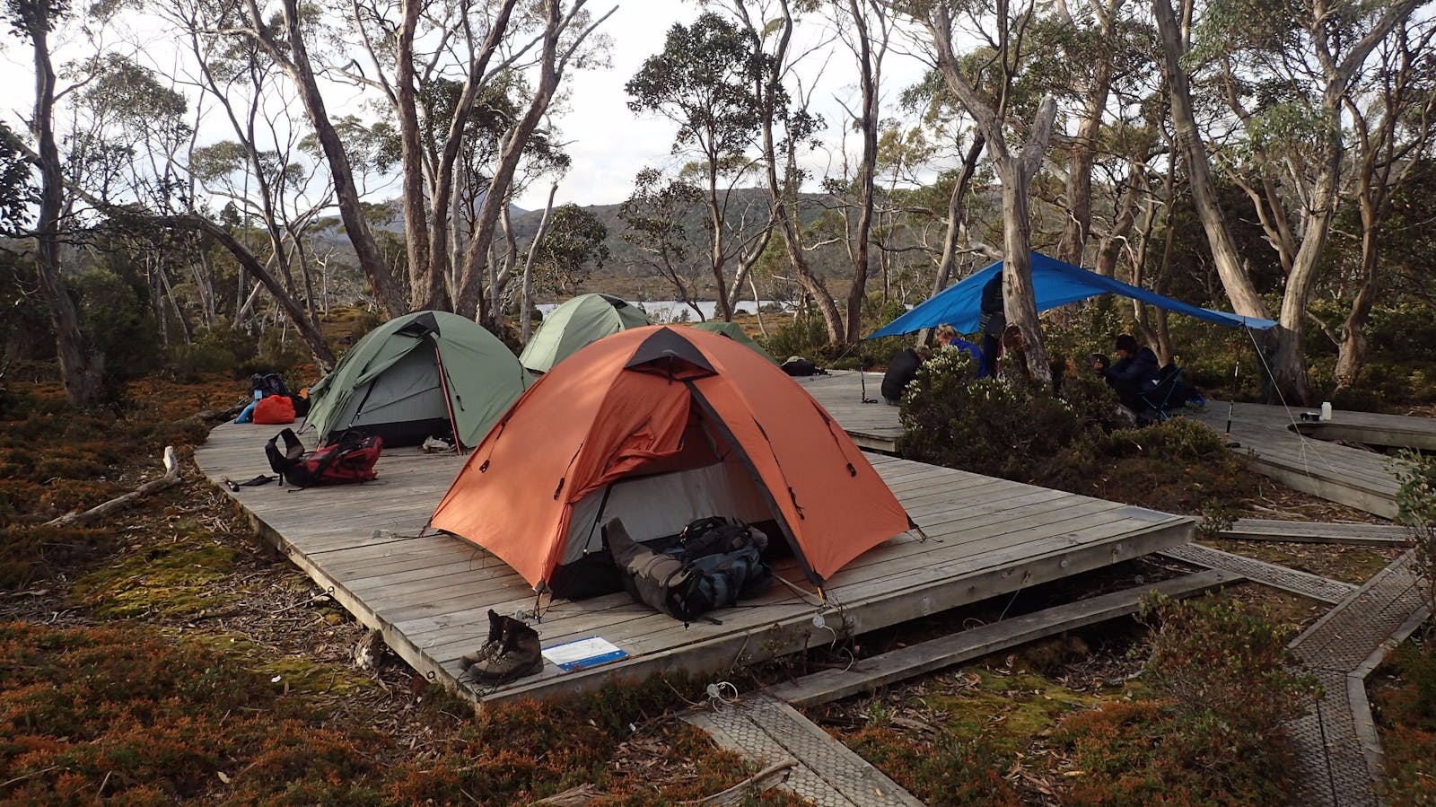 Raised platform campsites on the Overland Track