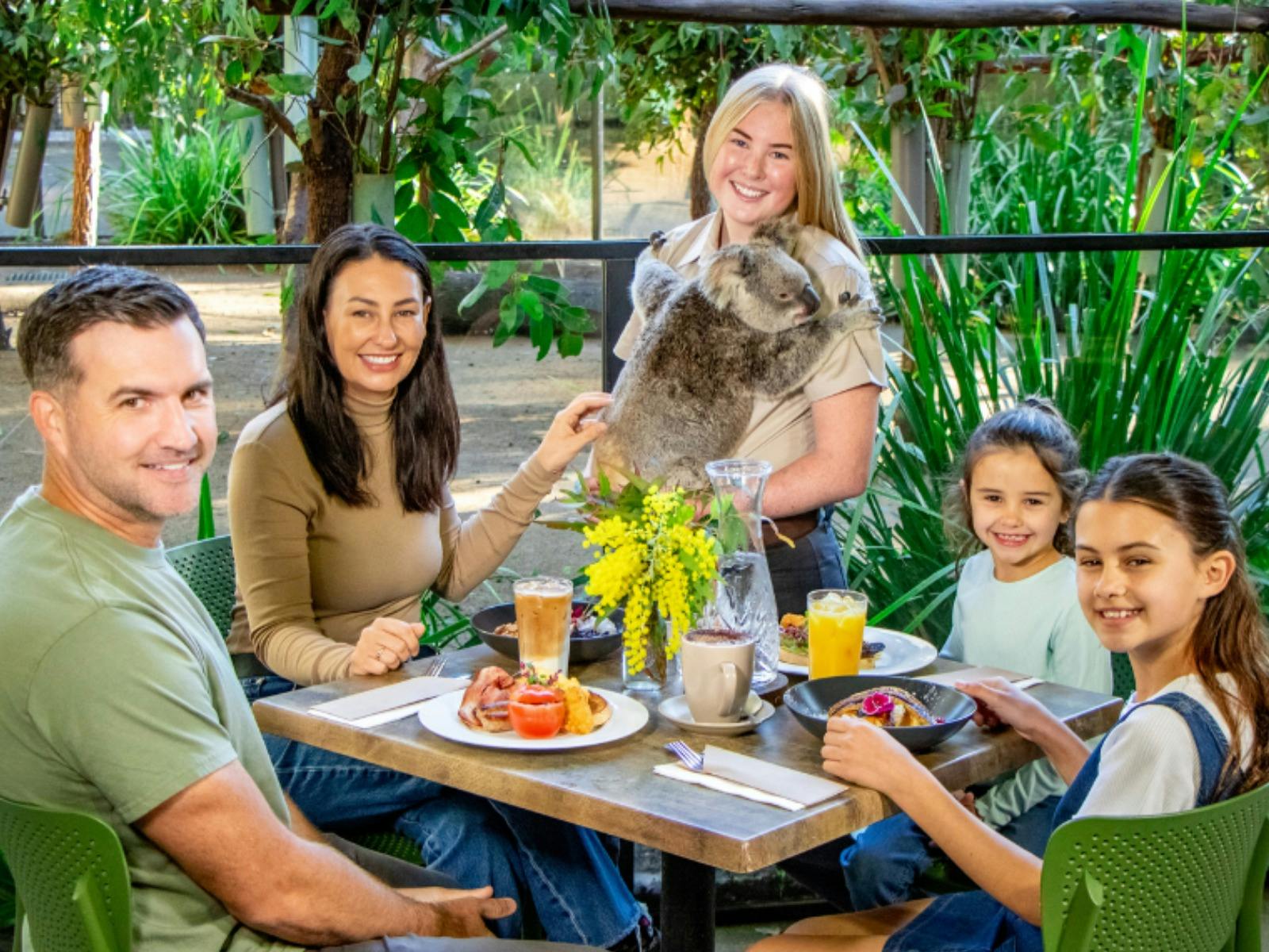 Koala Breakfast at Currumbin Wildlife Sanctuary