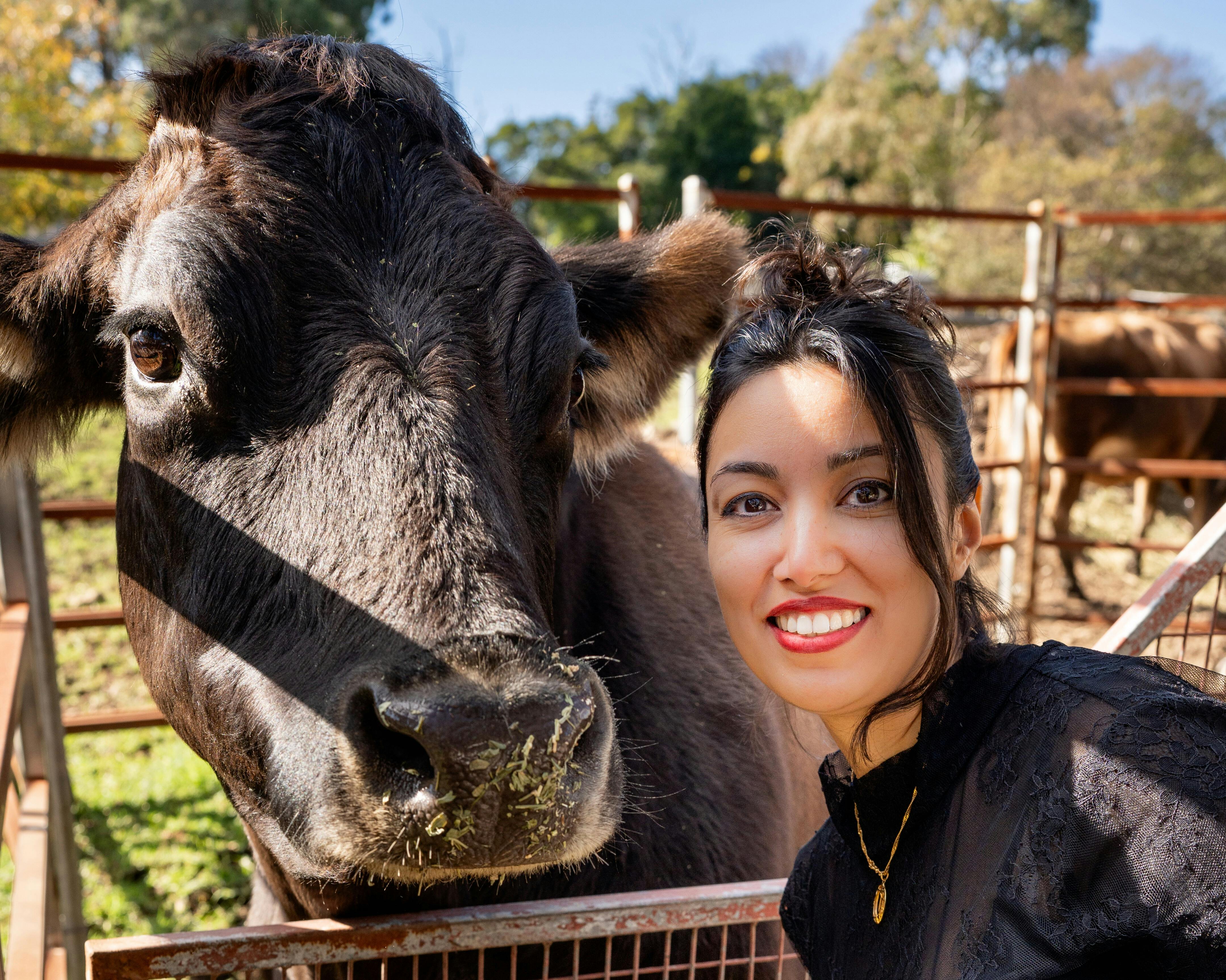 Eine Mutter, eine Kuh und 17 Witze