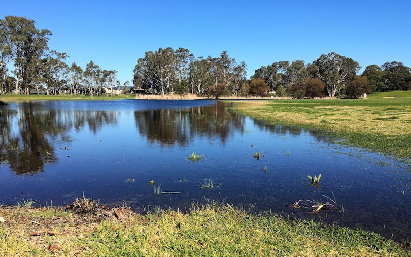 Memorial Parklands