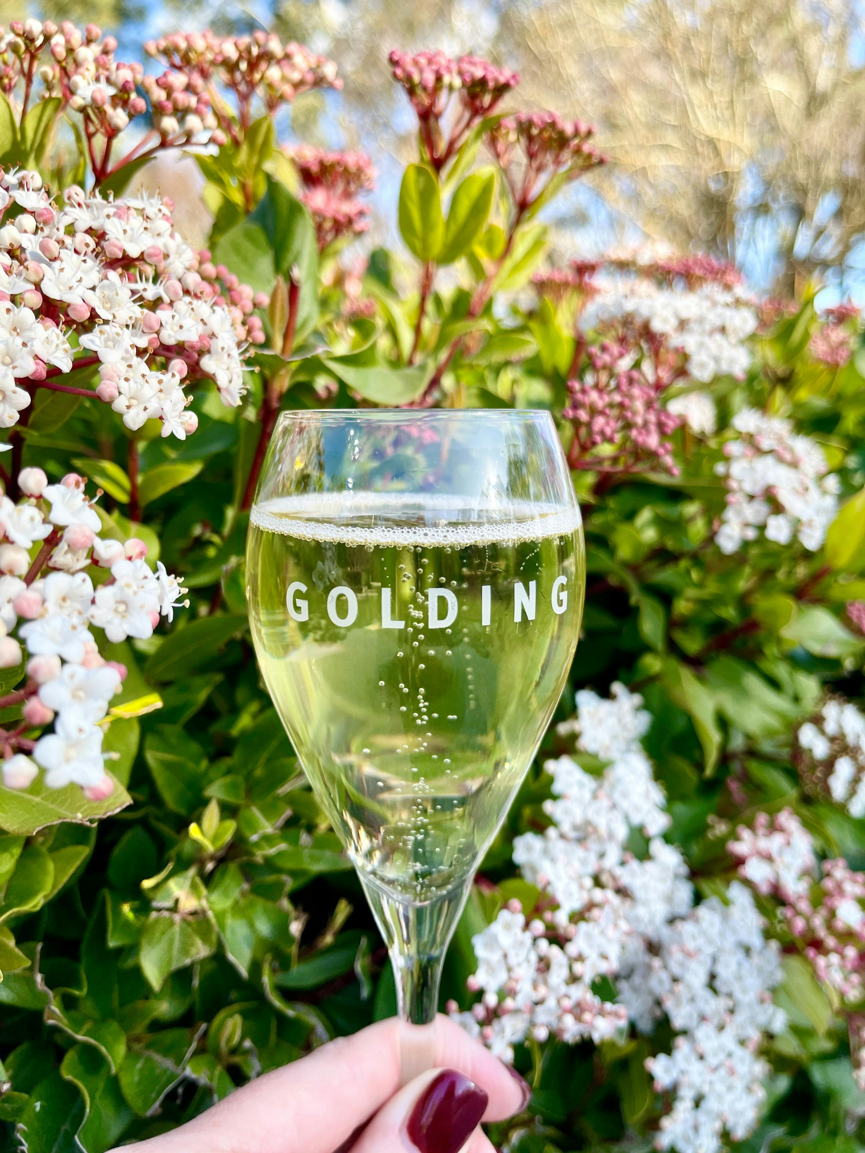 Sparkle & Sip - A Marjorie Blanc de Blancs Experience