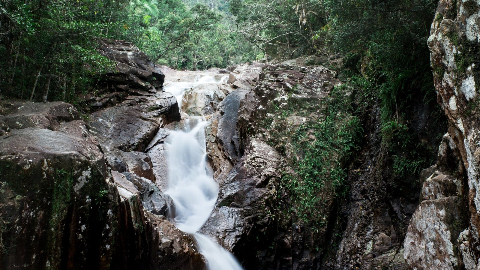 Finch Hatton Gorge.