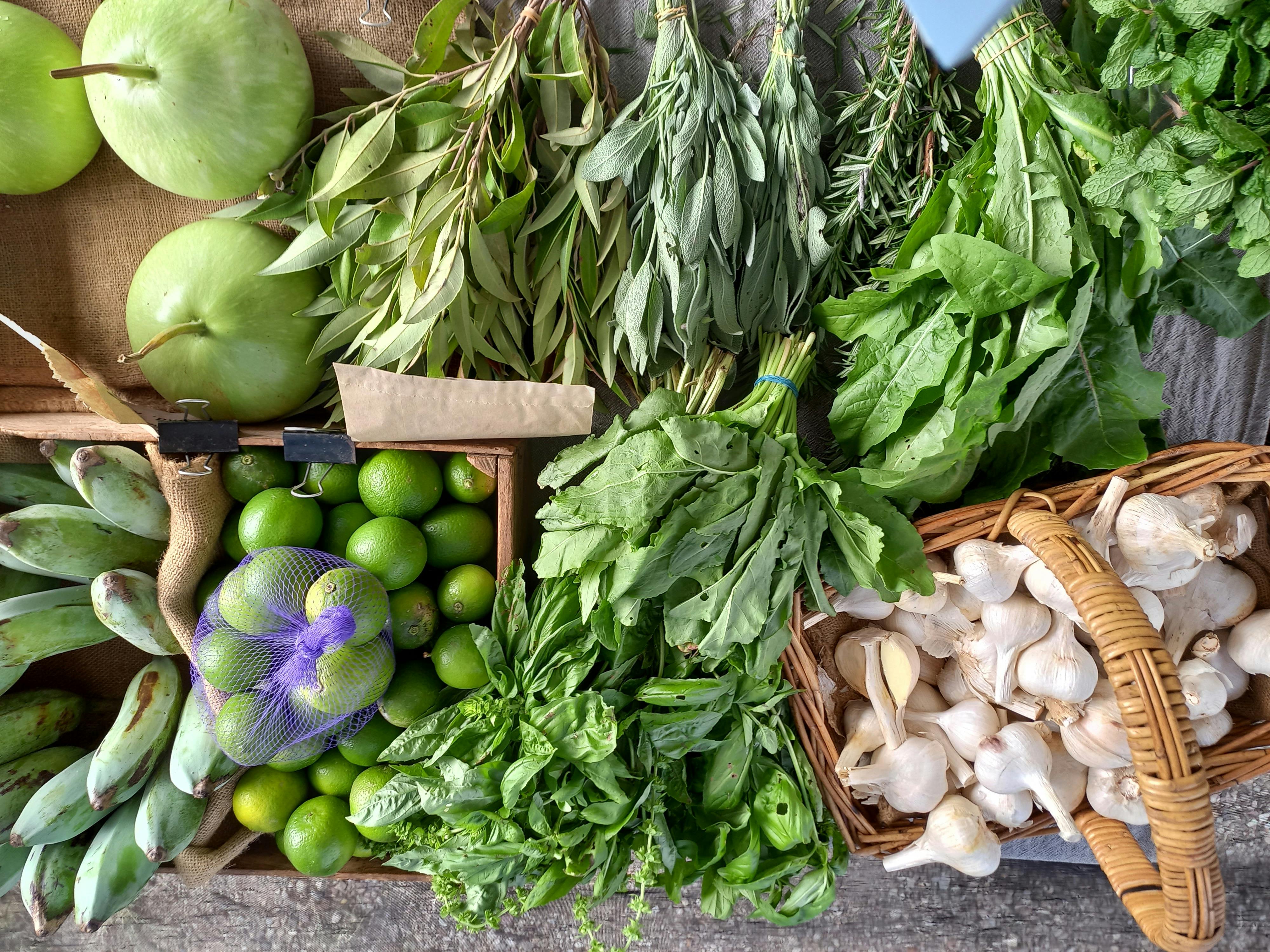 Market looks green