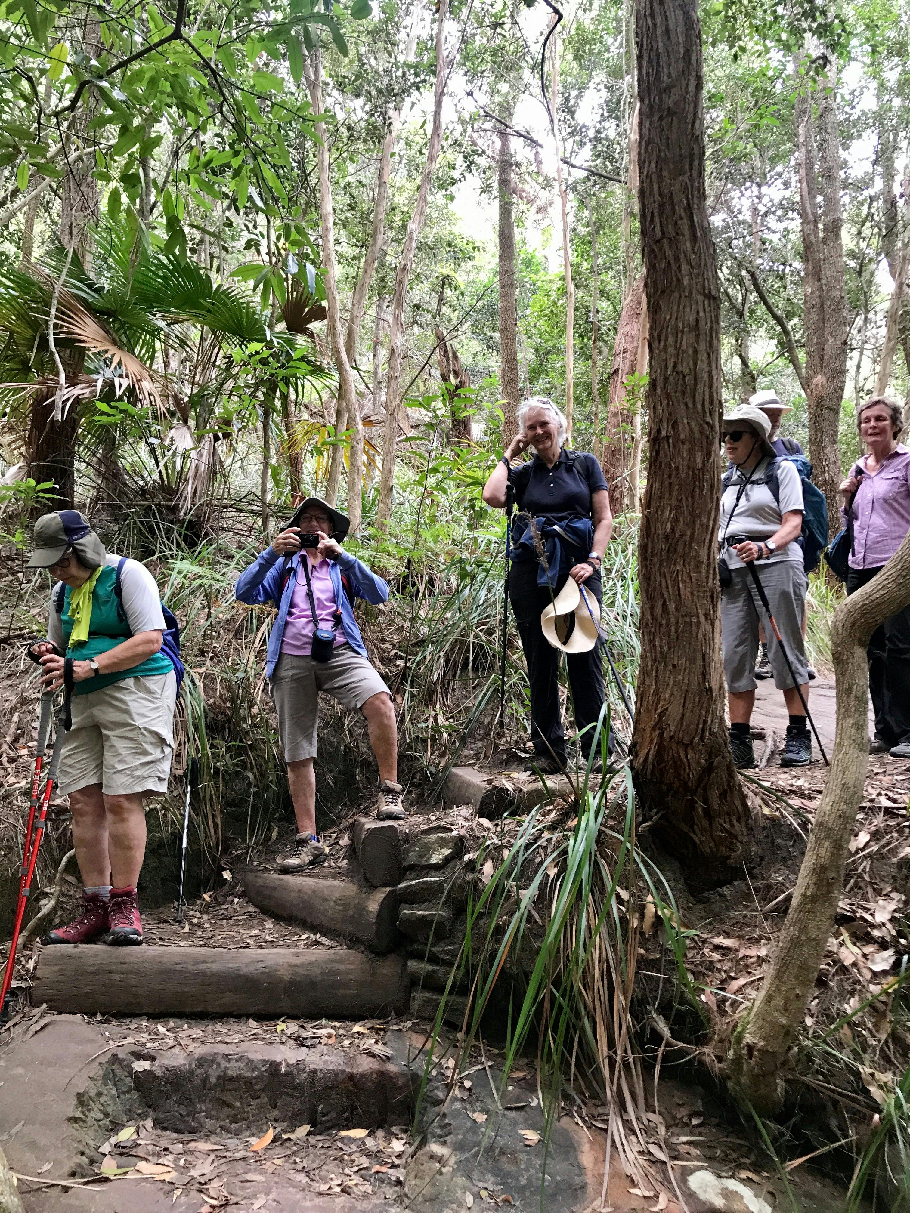 Walking in Ku ring gai Chase National Park