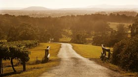 Petersons Wines