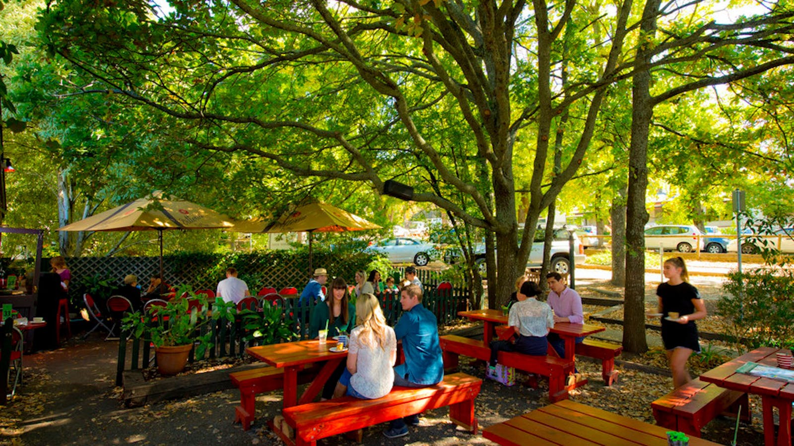 The Organic Market & Cafe