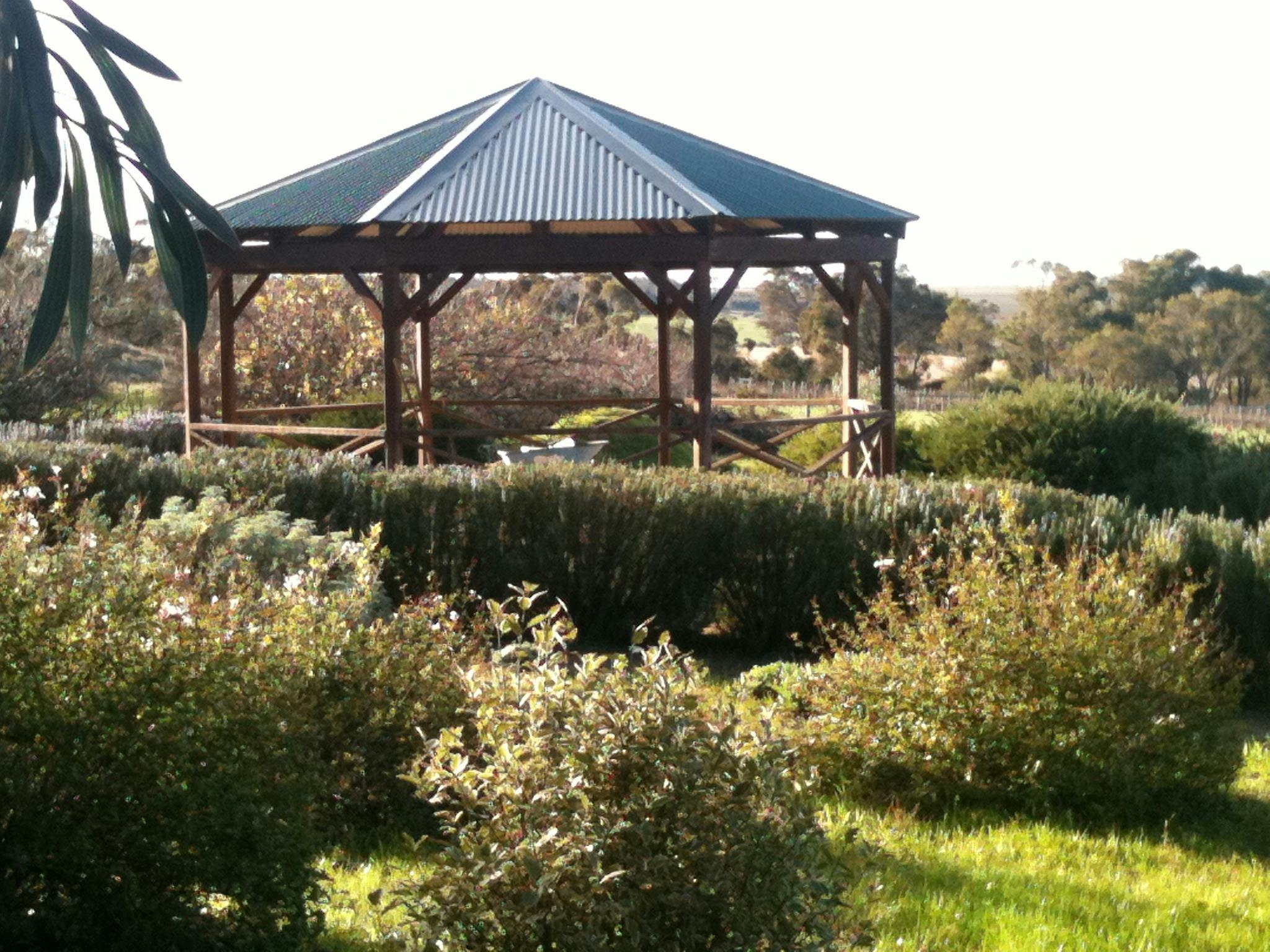Wine taste and wander in Gilbert Wines culinary Garden.