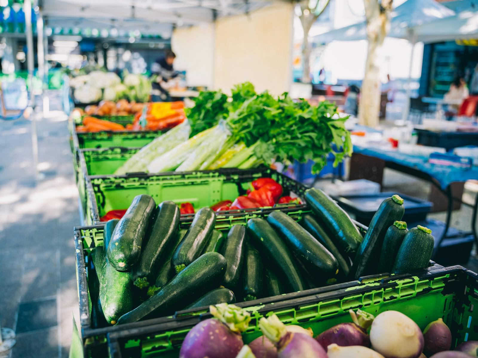 Fresh Veggies