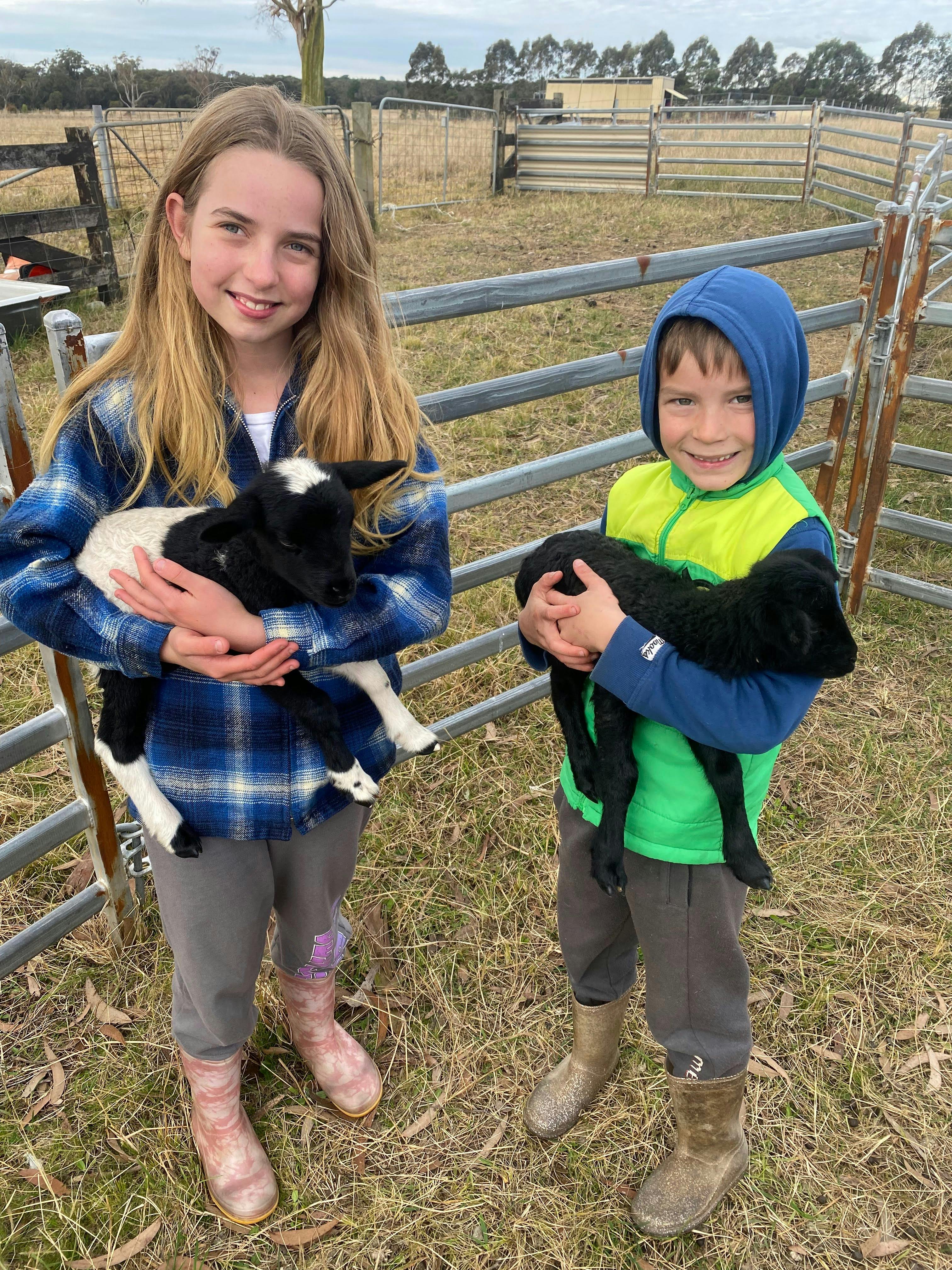 Baby animals - including goats and lambs