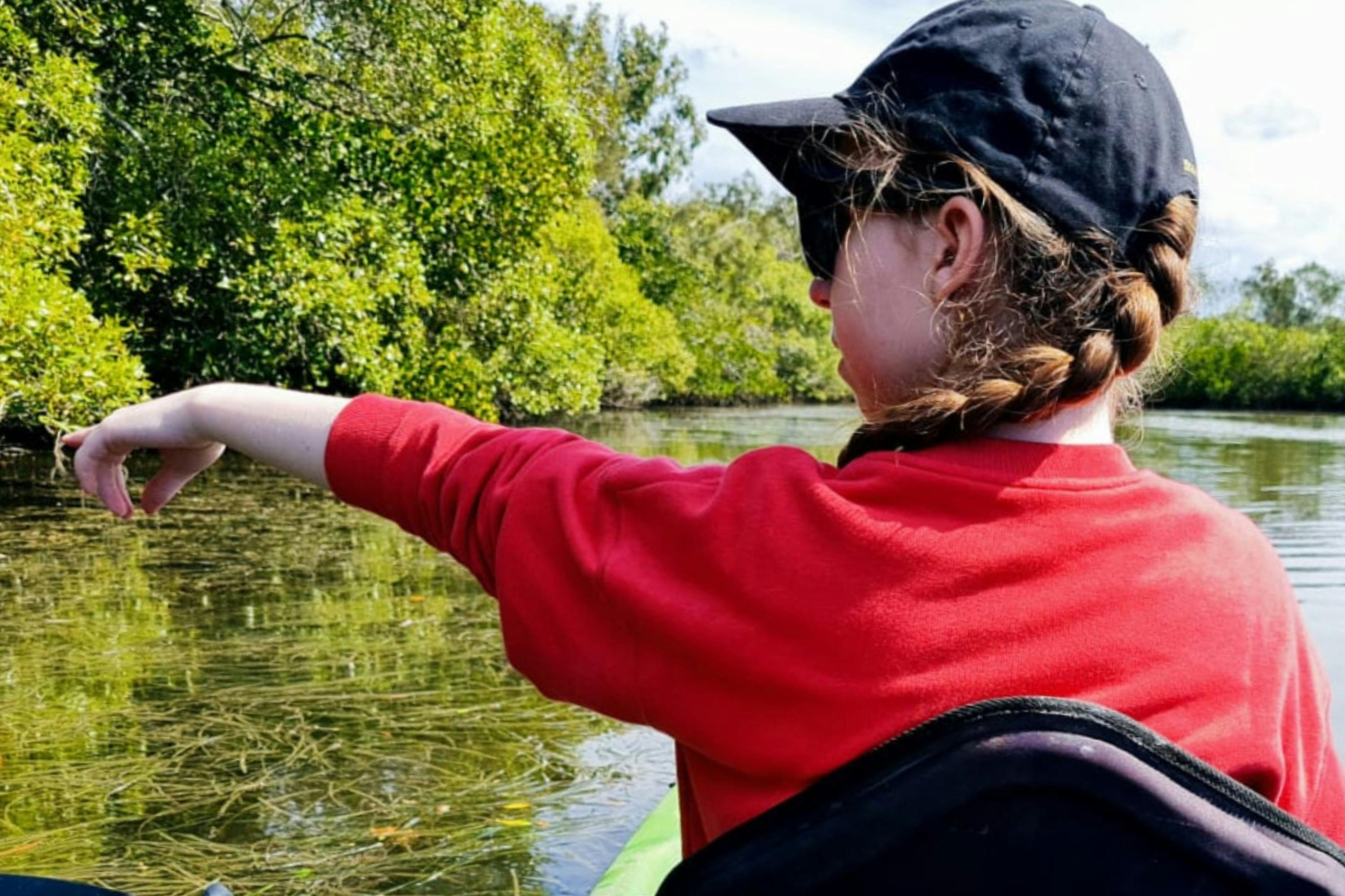Wildlife Spotting Stingrays and Birds