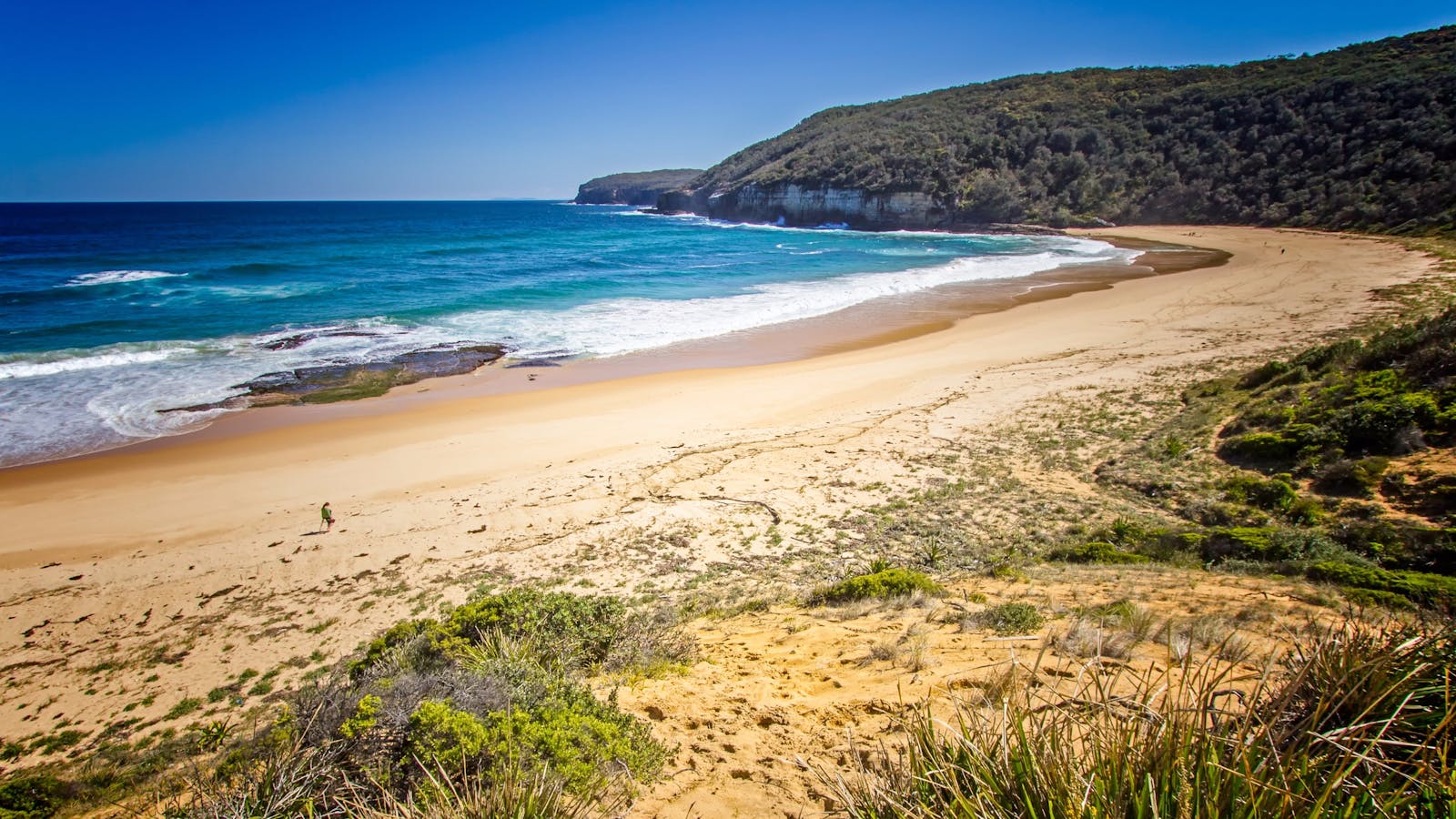 Steamers Beach