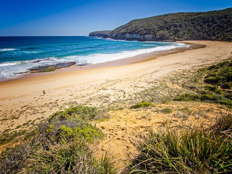 Steamers Beach