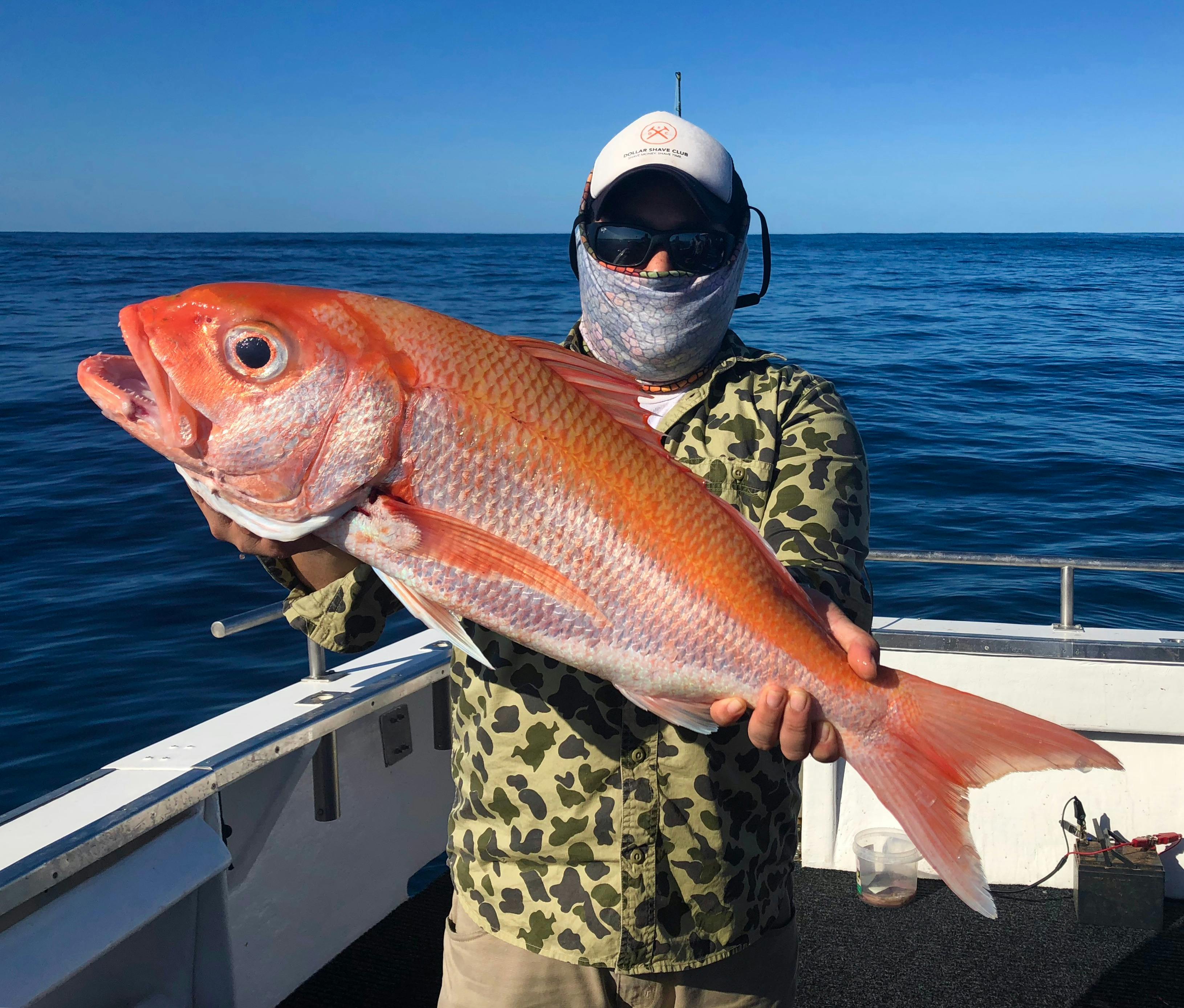Blue Horizon Charters, Exmouth, Western Australia