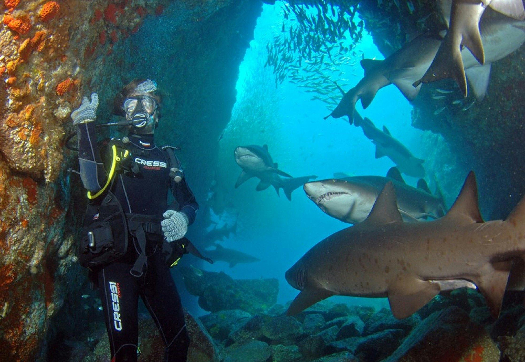 South West Rocks Dive Centre