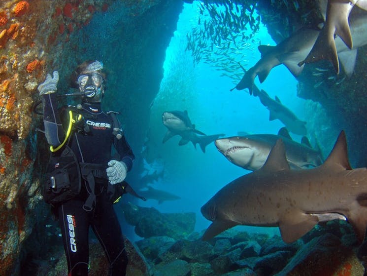 South West Rocks Dive Centre