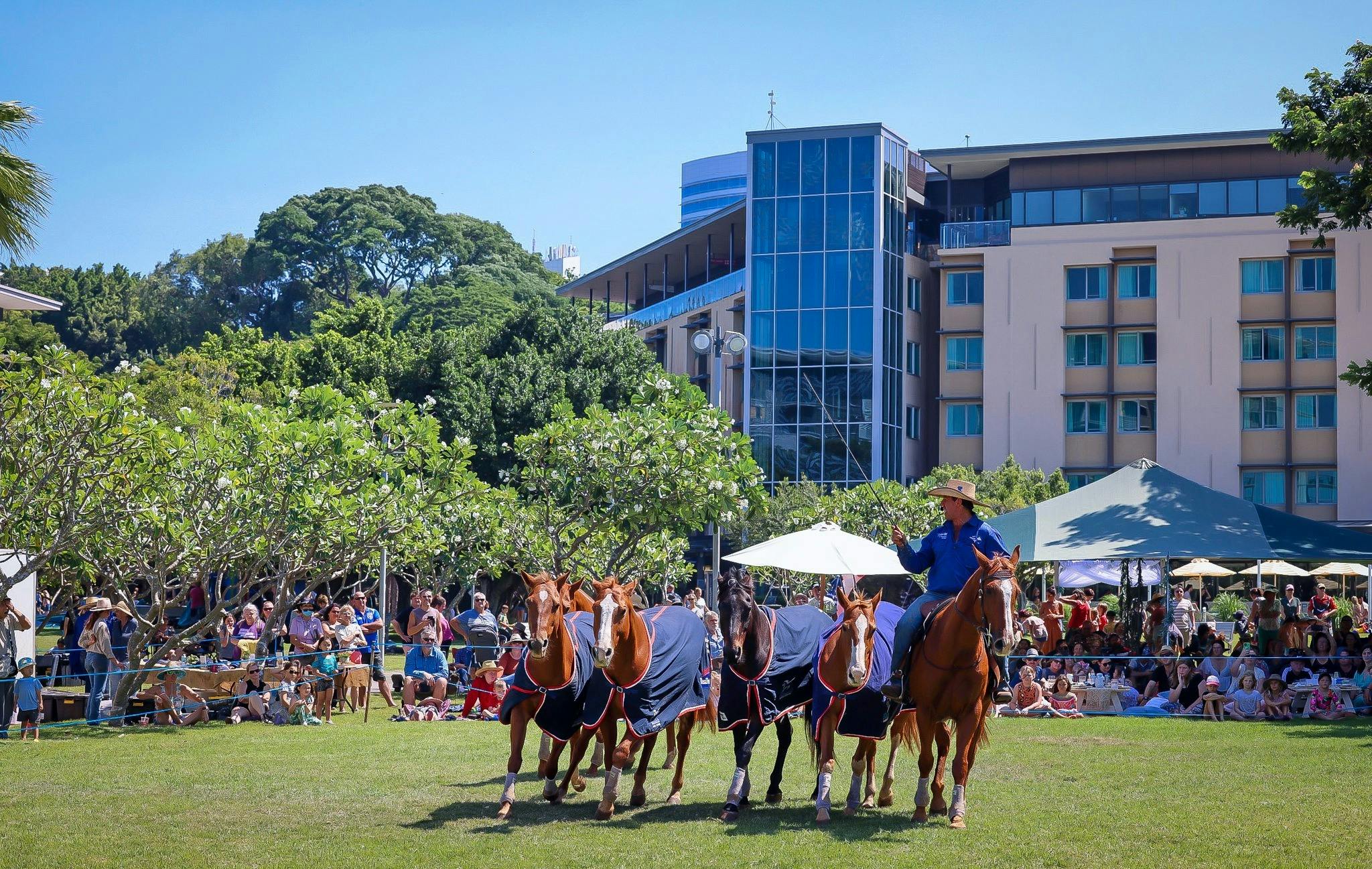 Working horses on the Darwin Waterfront