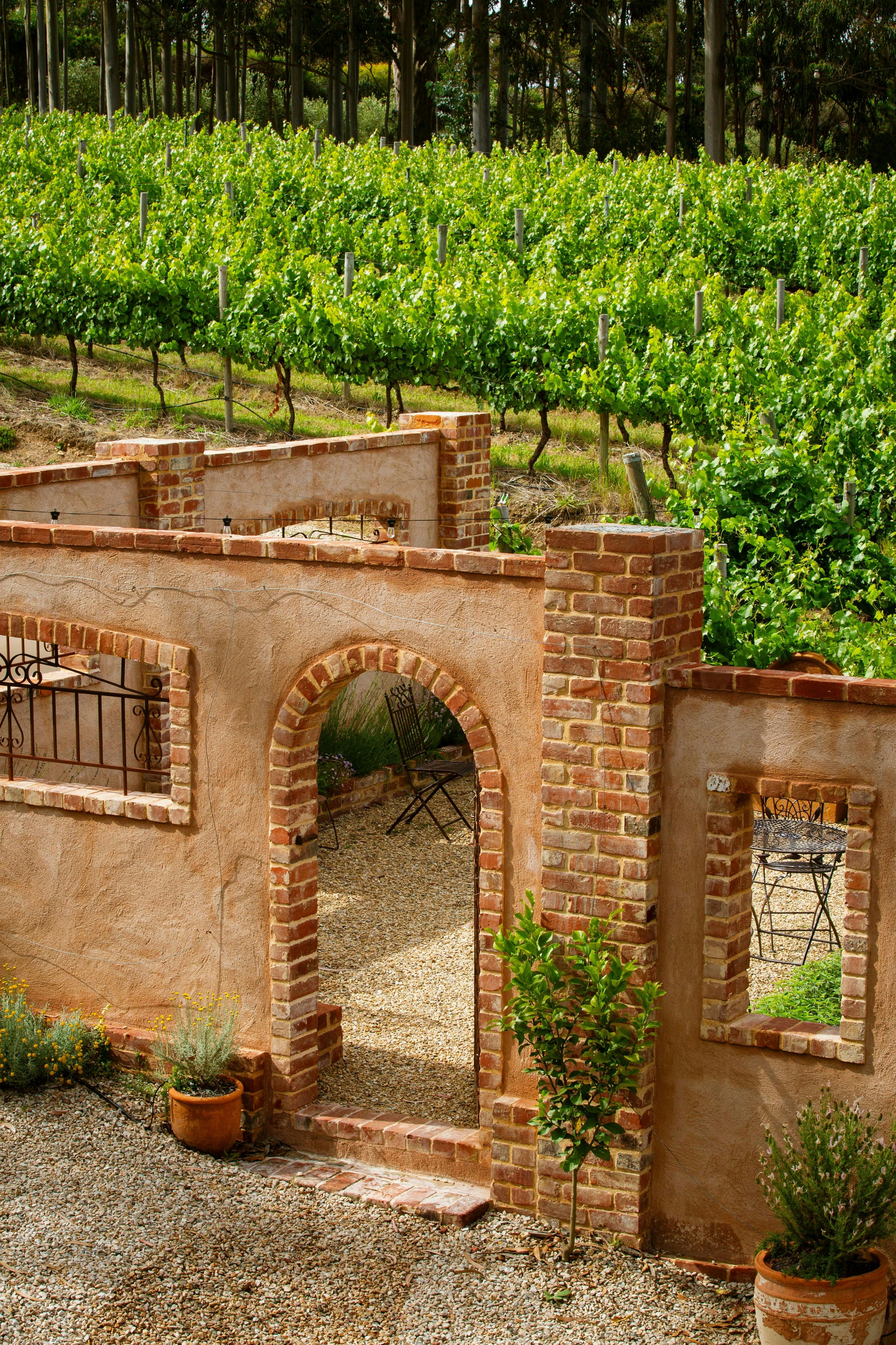 Character stone wall with vineyards in the background