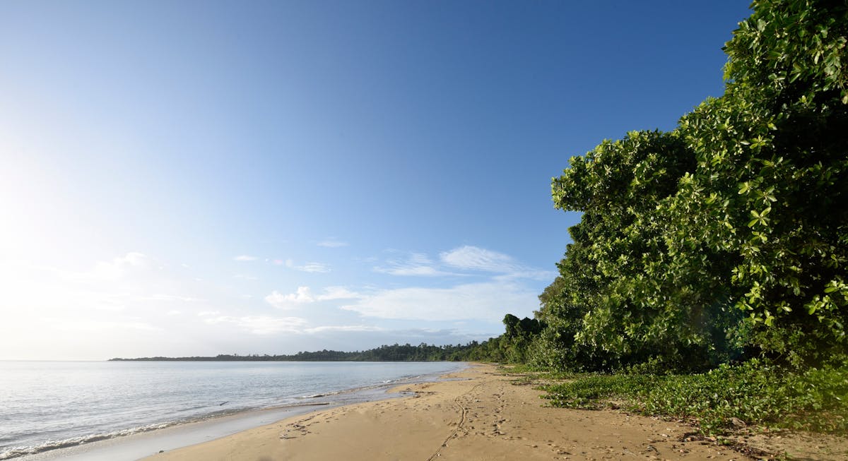 Narragon Beach across the road from Sealords