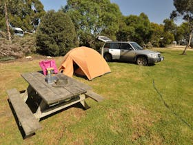 Camping - Naracoorte