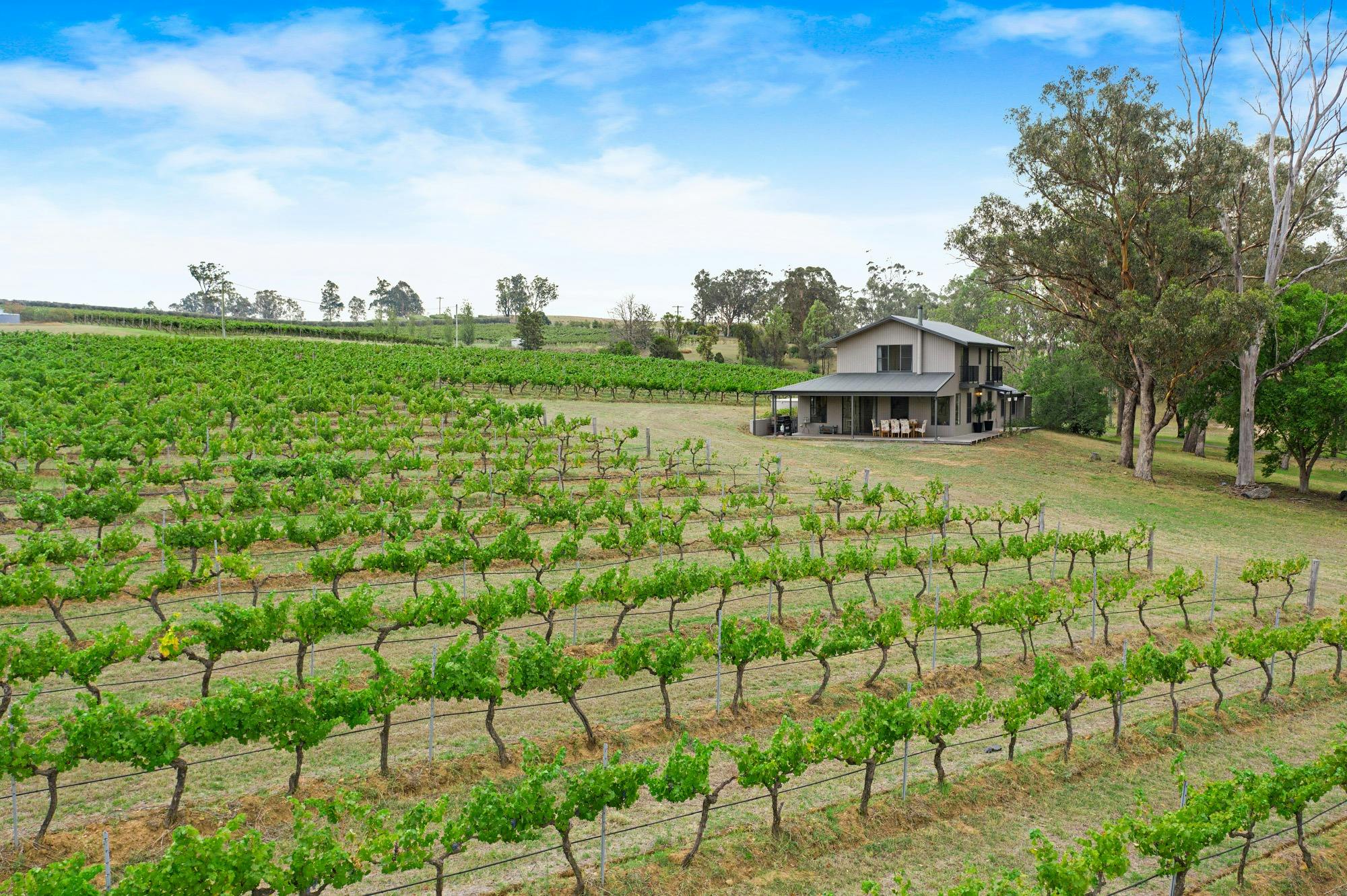 Take in the breathtaking views of the vines from the luxury of this gorgeous cottage