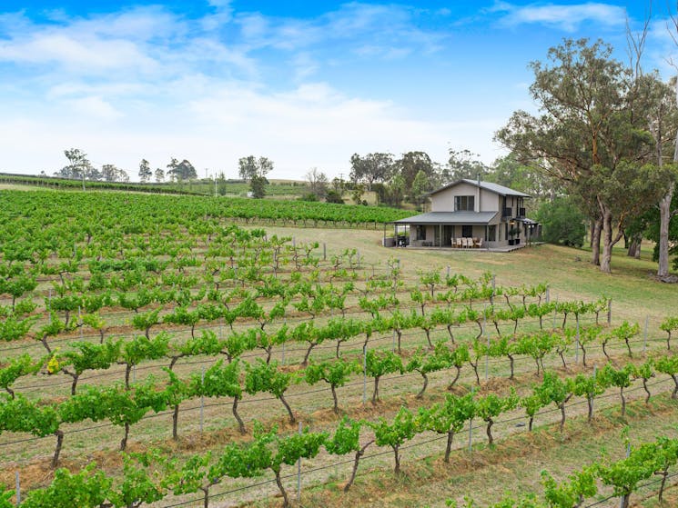 Take in the breathtaking views of the vines from the luxury of this gorgeous cottage