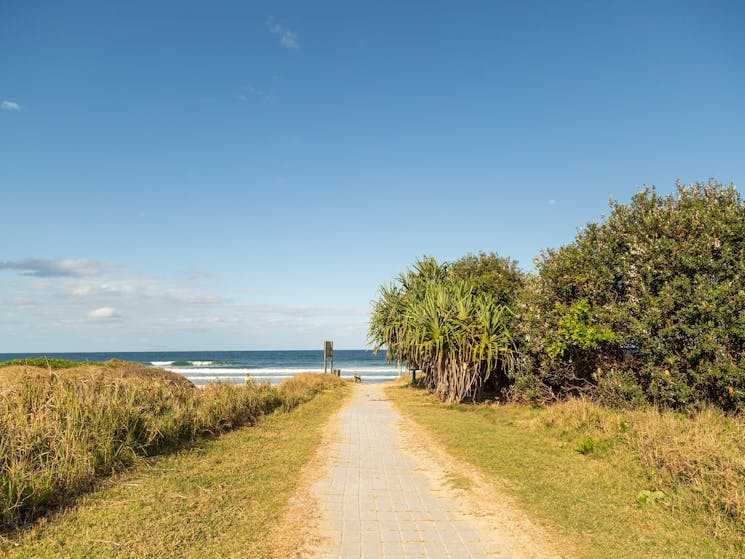 Walking track to beach