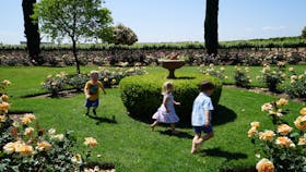 Griffith Spring Fest - Open Gardens