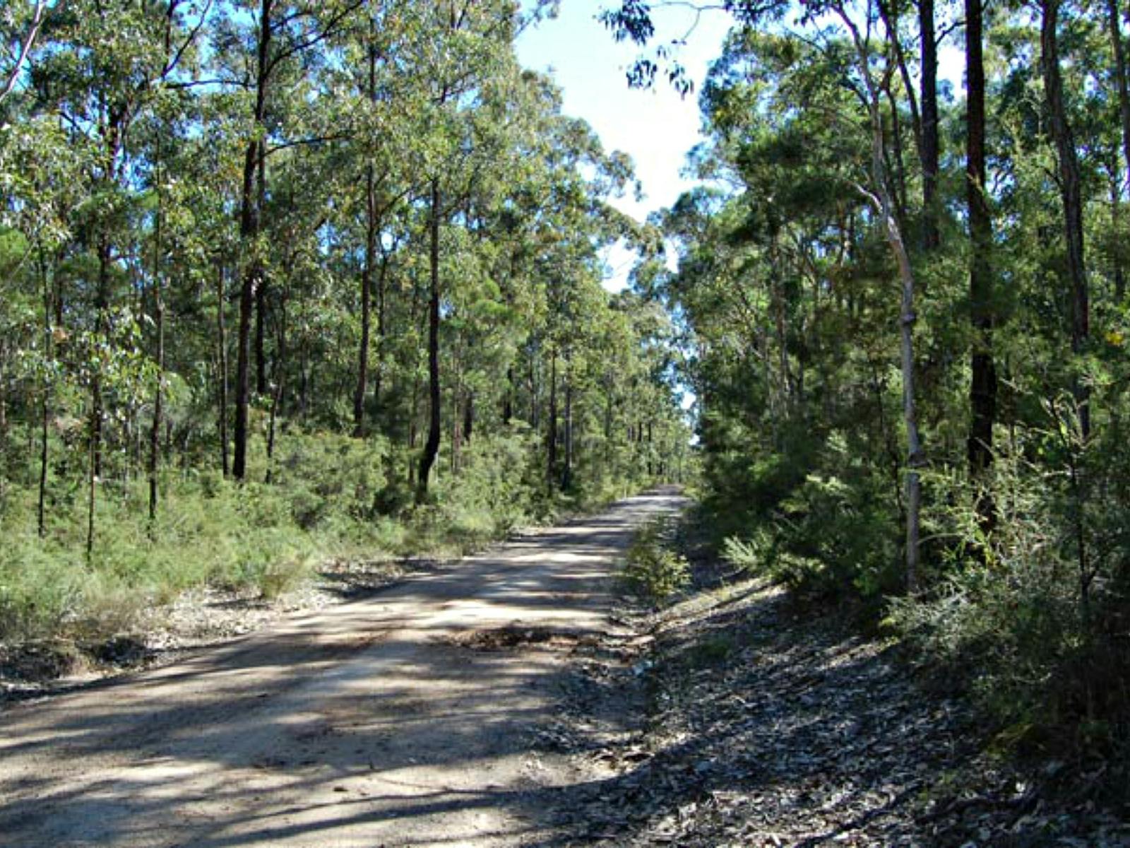 Deadmans Mountain Bike Loop