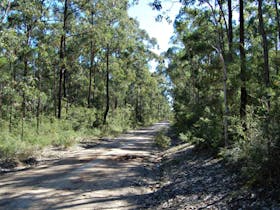 Deadmans Mountain Bike Loop