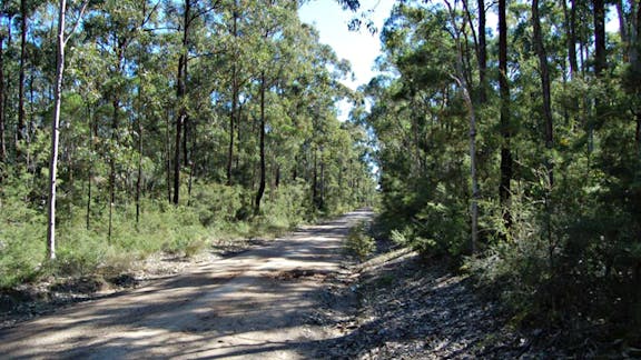 Deadmans Mountain Bike Loop