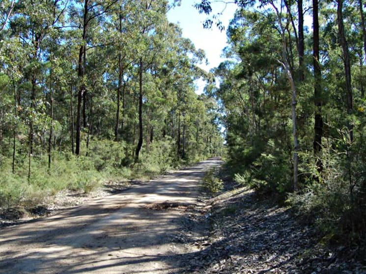 Deadmans Loop Trail, Werakata National Park. Photo: Susan Davis/NSW Government