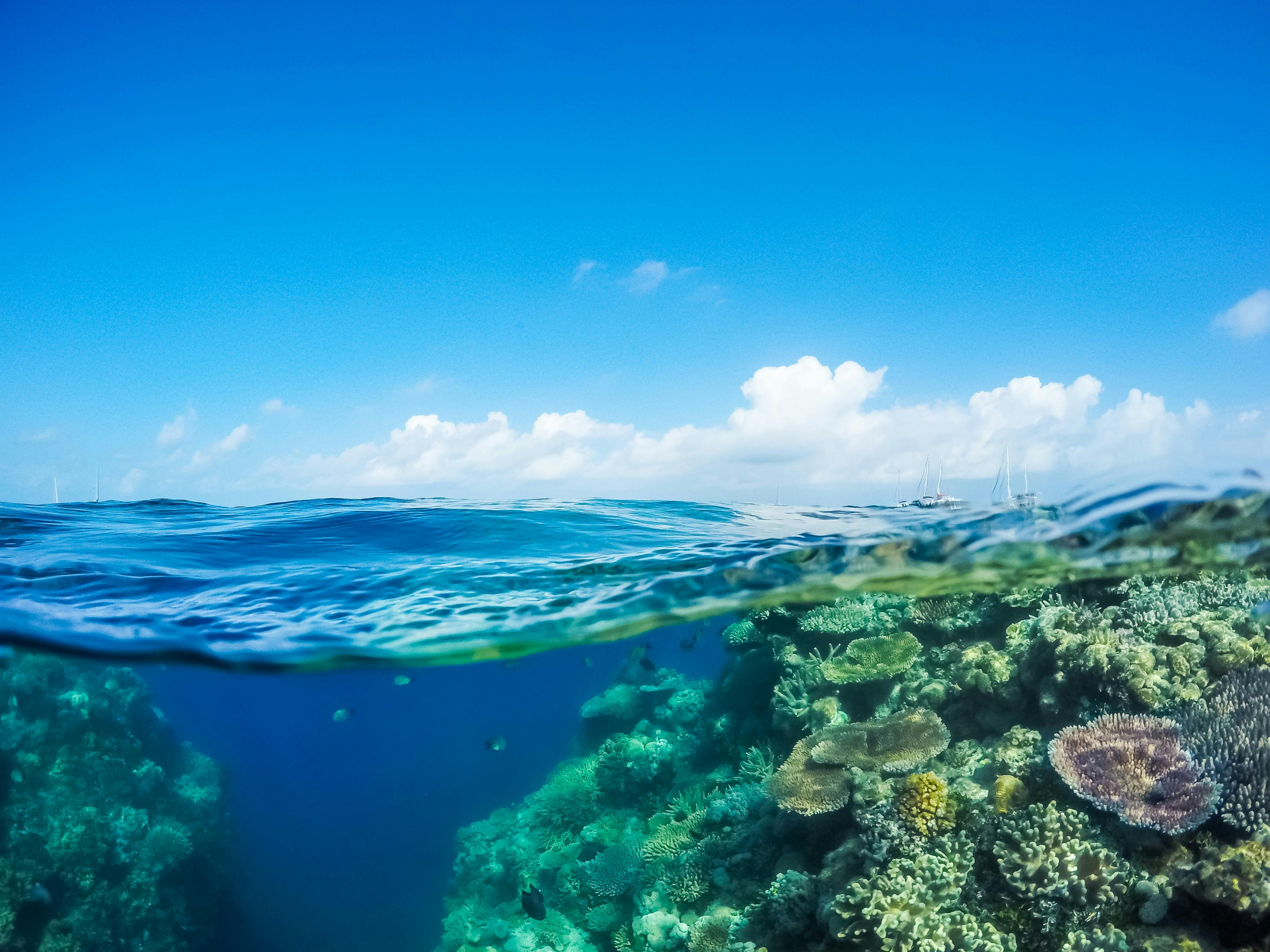 Great Barrier Reef